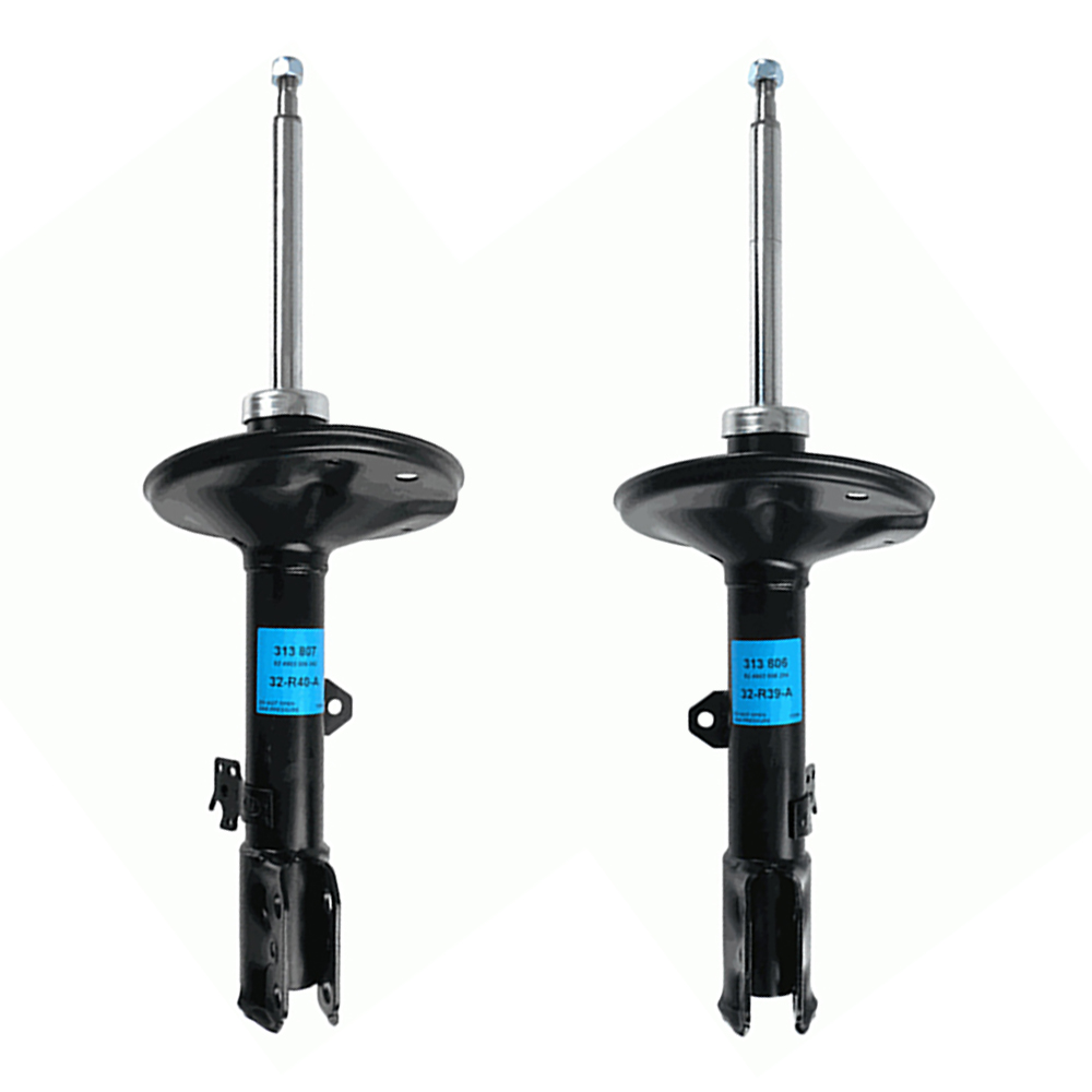 foto de ZF313 806
